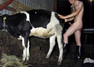 Dude is gonna fuck that sexy-ass cow