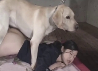 Asian cutie is getting screwed by a huge doggy