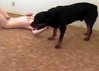 Dude gets hardly fucked by awesome doggy