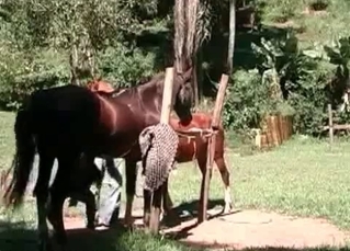 Sexy farm girl with impressive stallion