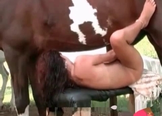 Brunette nicely plays with a stallion sausage