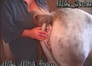 Sexy zoophile takes care of a hot pony