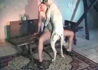 White dog nicely pounds a passionate hooker