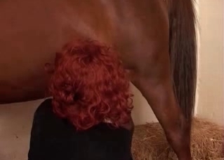 Redhead MILF blows a big horse dick