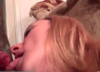Amateur lady nicely blows a doggy prick