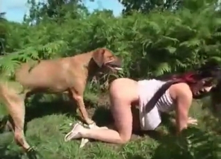 Outdoor dog zoophilia XXX with a hot lady