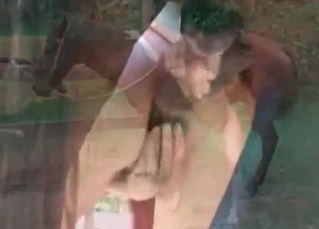 Hardcore anal bestiality with a big horse