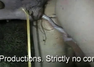 Kinky pig is about to fuck a hung dude