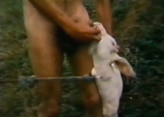 Goat has sex sensually