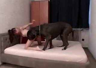 Slutty chick craves that hot dog dick