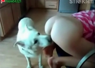 This dog loves licking pussy