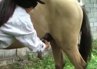 Blonde sucks a horse penis with love and passion