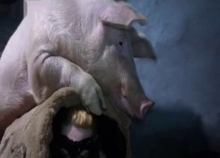 The masked doll got her crack fucked by a huge pig