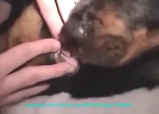 Wicked fingering session for a sexy mutt