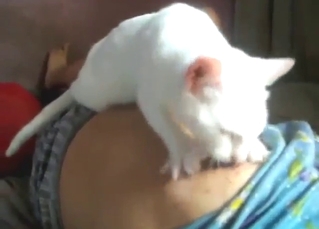 For naughty kitty like that, it's a great time