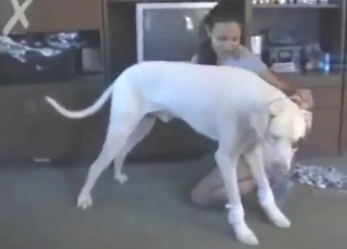 Dogsitter ends up fucking this white mutt
