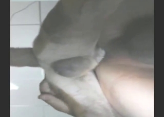 Dog is going to use its knot to fuck a hot lady