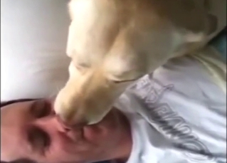 Adorable animal joins him in the bed tonight