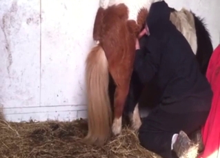 Pony cocksuck experience with a slutty guy