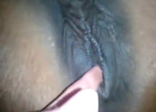 Dude is going to insert digits to make mare moan