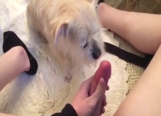 Tongue pleasure with a guy who wants a fellatio