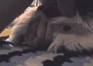 Dude is going to go in deep with a fuzzy beast