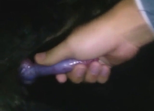 Zoophile plays with his dog's throbbing penis