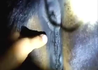 Zoo sex scene with a mare taking his penis