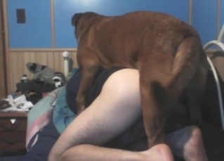 Zoo XXX shows a guy moaning under a brown dog