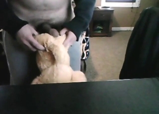 Bestiality sex with a guy who wants to fuck toys