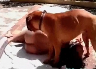 Busty female is sucking her doggy with passion