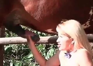 Farm zoophilia XXX with a blonde and horse