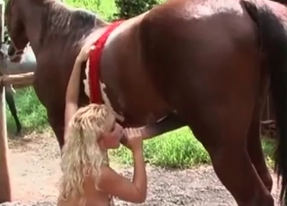 Blonde is sucking horse cock with passion