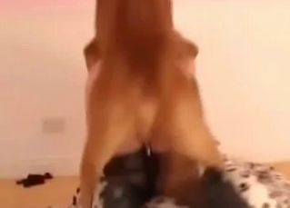 Hot masked bestiality in amazing dog zoophilia XXX