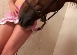 Busty blonde and horse in awesome bestiality