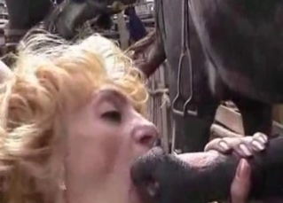 Mature zoophile is sucking a good horse dick