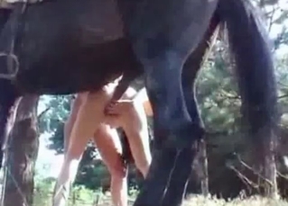 Stallion with giant dick and a hot farm girl