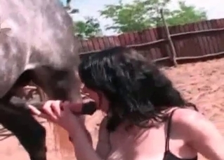 Dark-haired slut is playing with a horse prick
