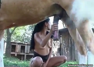 Farm horse gets sucked by awesome brunette