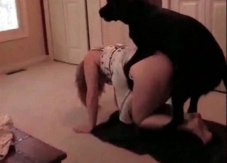 Black dog screws a stunning bitch in doggy pose