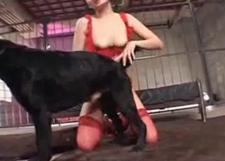 Busty Asian slut enjoy dog bestiality so much