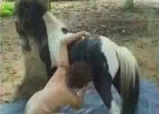 Horse anally pounds a big bottomed beauty